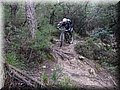 P2210517.JPG