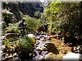IMG-201503076.jpg