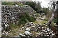 P3141376.JPG