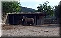 P4252765.JPG