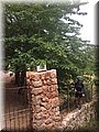 20150613114830 (2).jpg