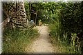 P6131300.JPG