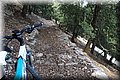 P9190619.JPG
