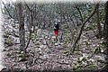 PA171198.JPG