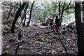 PA171201.JPG