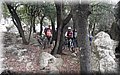12050051.JPG