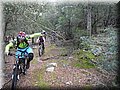 12050055.JPG