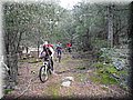 12050057.JPG
