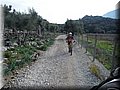 12050067.JPG