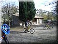 12050076.JPG