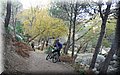 12050078.JPG