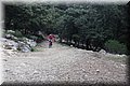 PC050274.JPG