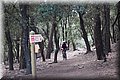 PC050286.JPG