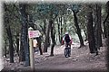 PC050287.JPG