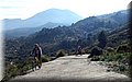 PC050315.JPG