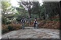 PC050318.JPG