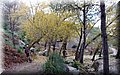 PC050324.JPG