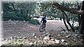 DSC_0087.JPG