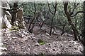 P1090657.JPG