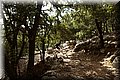 P1090676.JPG