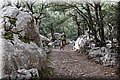 P1090680.JPG