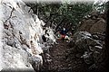 P1090687.JPG
