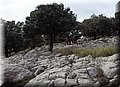 P1090691.JPG