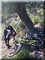 IMG-20160123-WA0020.jpg