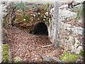 2016_04300046.JPG