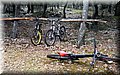 2016_04300063.JPG