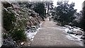 DSC_0337.JPG